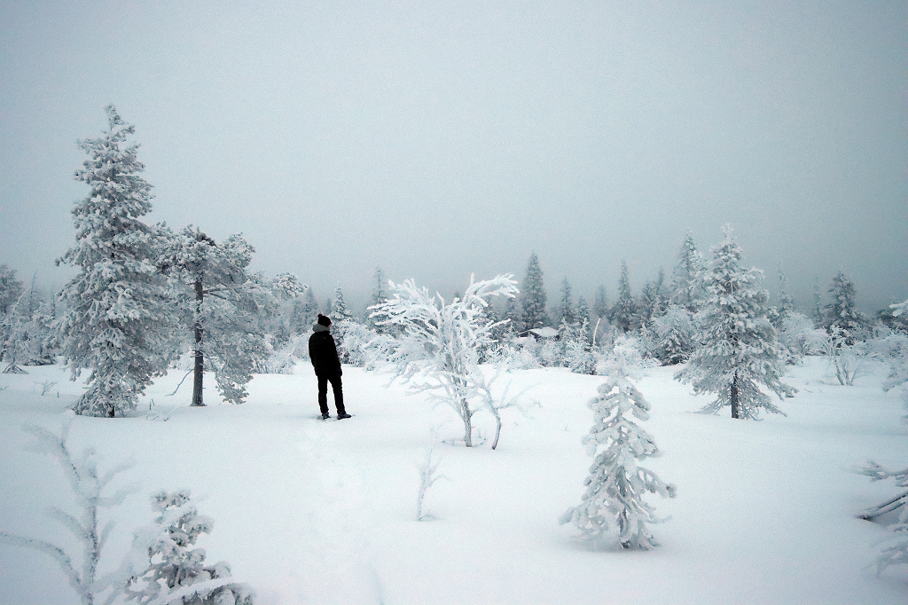 Schneeschuhwanderung im Riisitunturi National Park