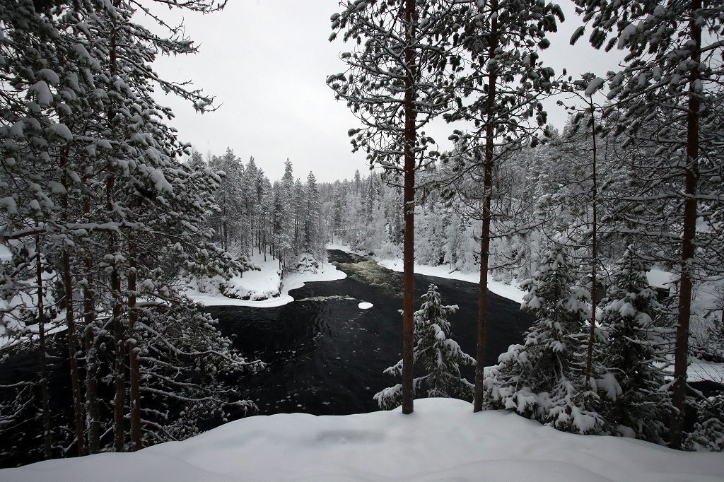 Winterlandschaft am Oulanka-Fluss