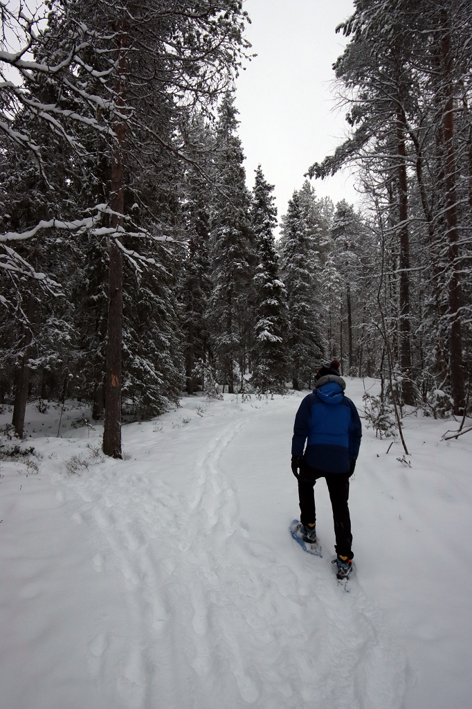 Schneeschuhtour auf der "kleinen Bärenrunde" im Oulanka-Nationalpark
