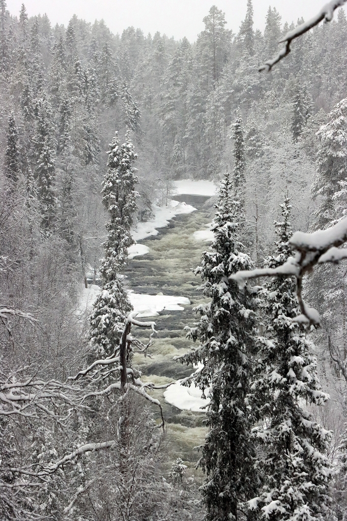 Schneeschuhtour auf der "kleinen Bärenrunde" im Oulanka-Nationalpark