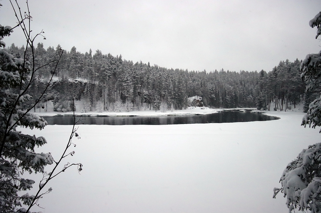 Am Flussufer des Oulanka