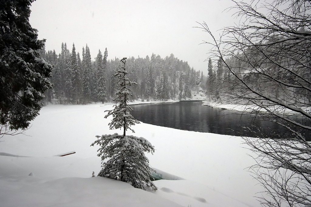 Schneeschuhtour auf der "kleinen Bärenrunde" im Oulanka-Nationalpark