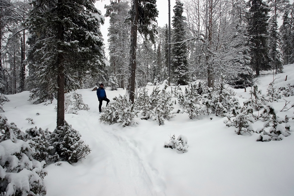 Schneeschuhtour auf der "kleinen Bärenrunde" im Oulanka-Nationalpark