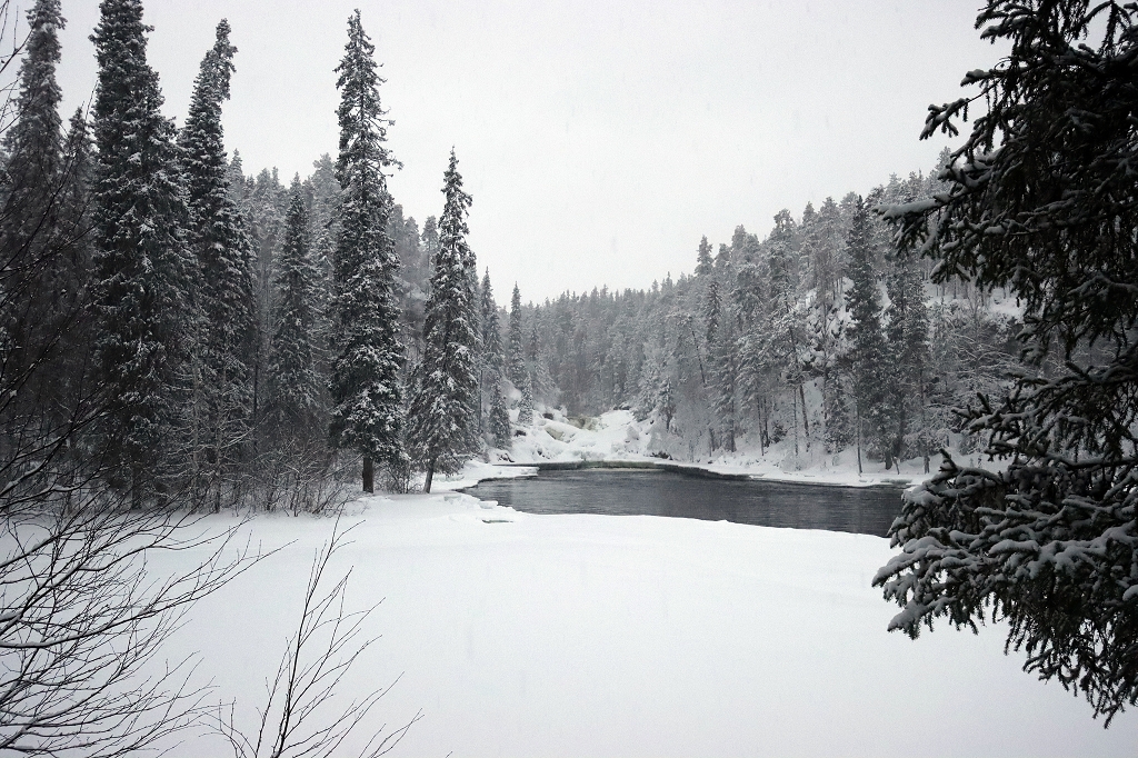 Schneeschuhtour auf der "kleinen Bärenrunde" im Oulanka-Nationalpark