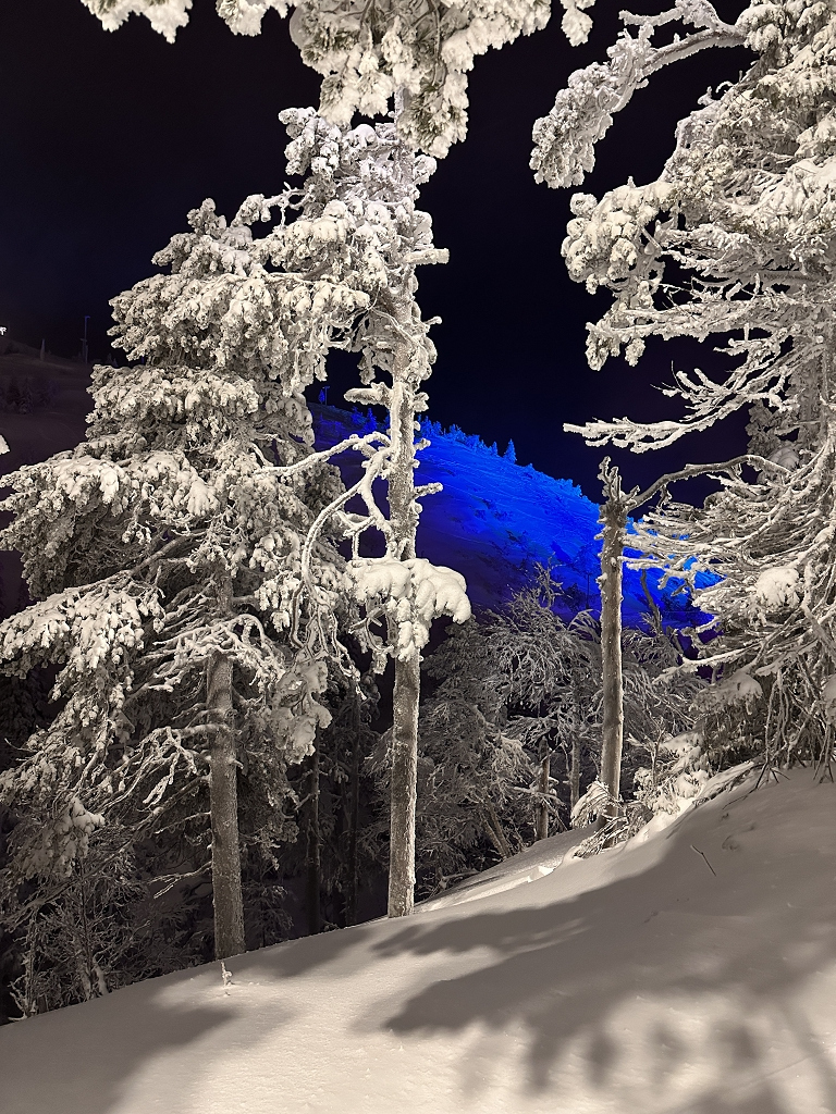 Verschneite Bäume auf dem Rukatunturi