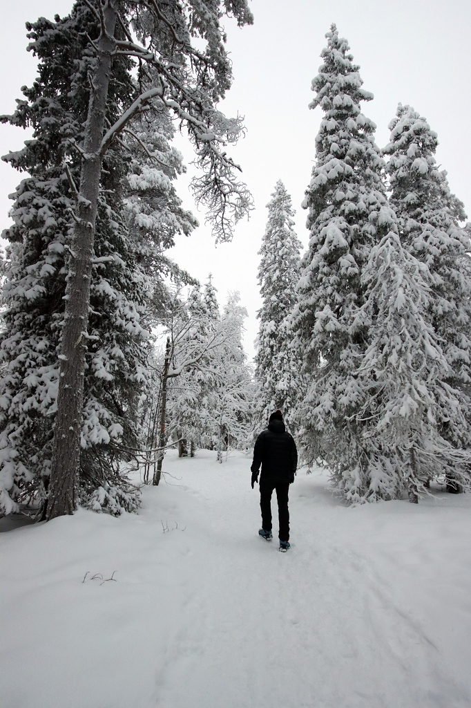 Unterwegs im Riisitunturi Nationalpark