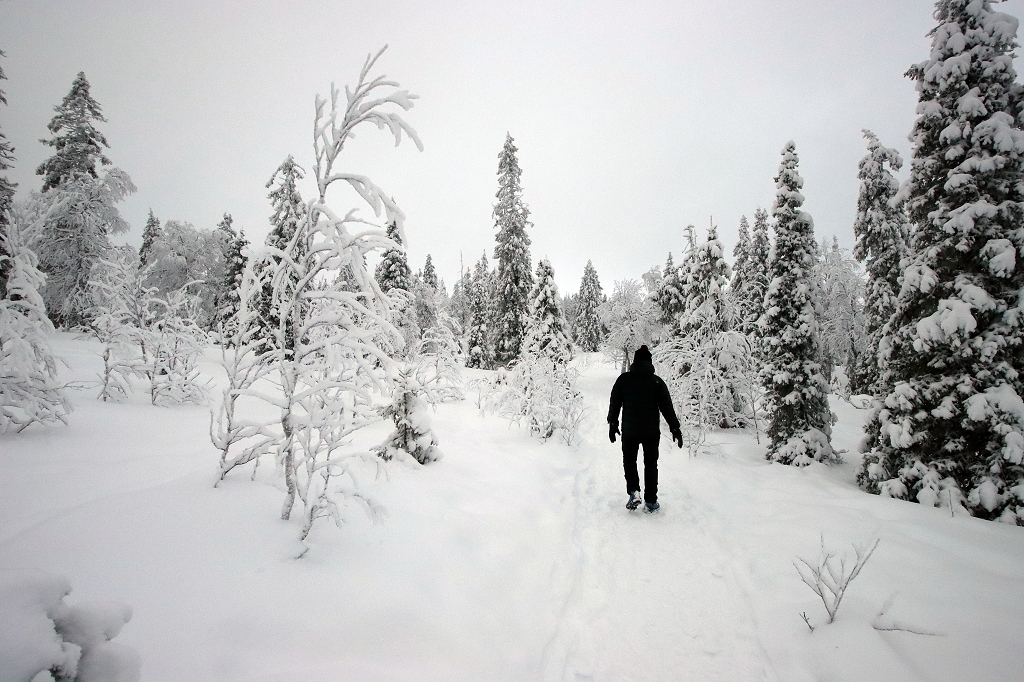 Winter im Riisitunturi Nationalpark