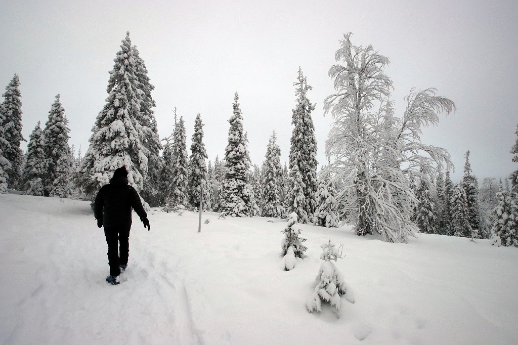 Winter im Riisitunturi Nationalpark