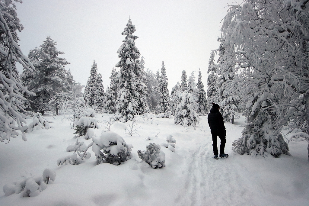 Winter im Riisitunturi Nationalpark