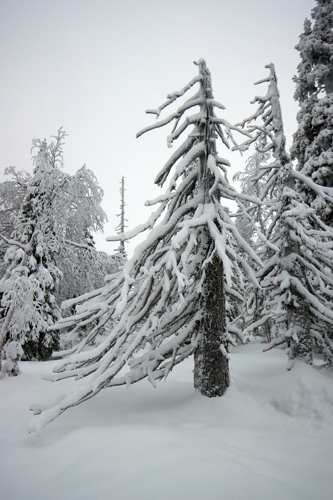 Winter im Riisitunturi Nationalpark