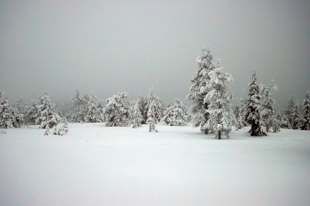 Winter im Riisitunturi Nationalpark