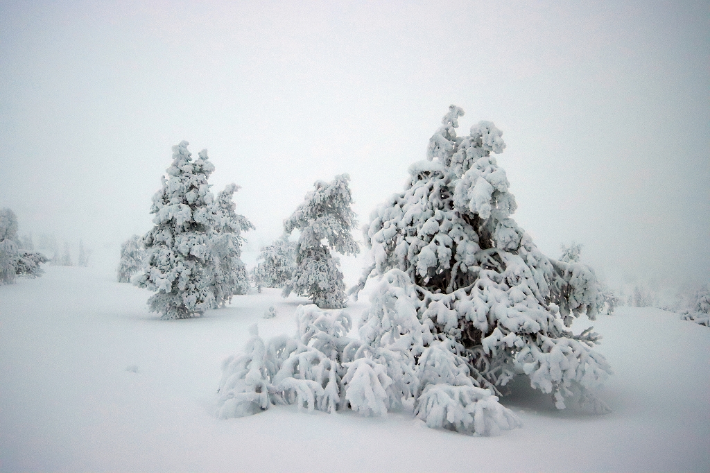 Winter im Riisitunturi Nationalpark