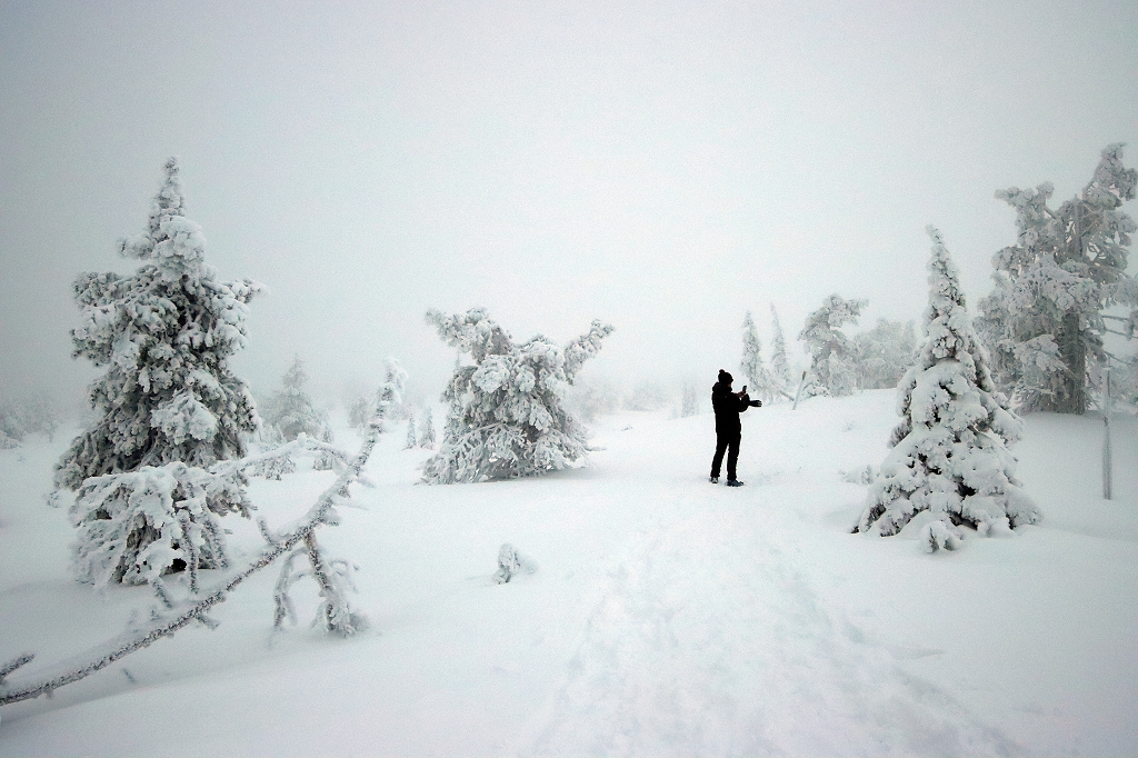 Winter im Riisitunturi Nationalpark