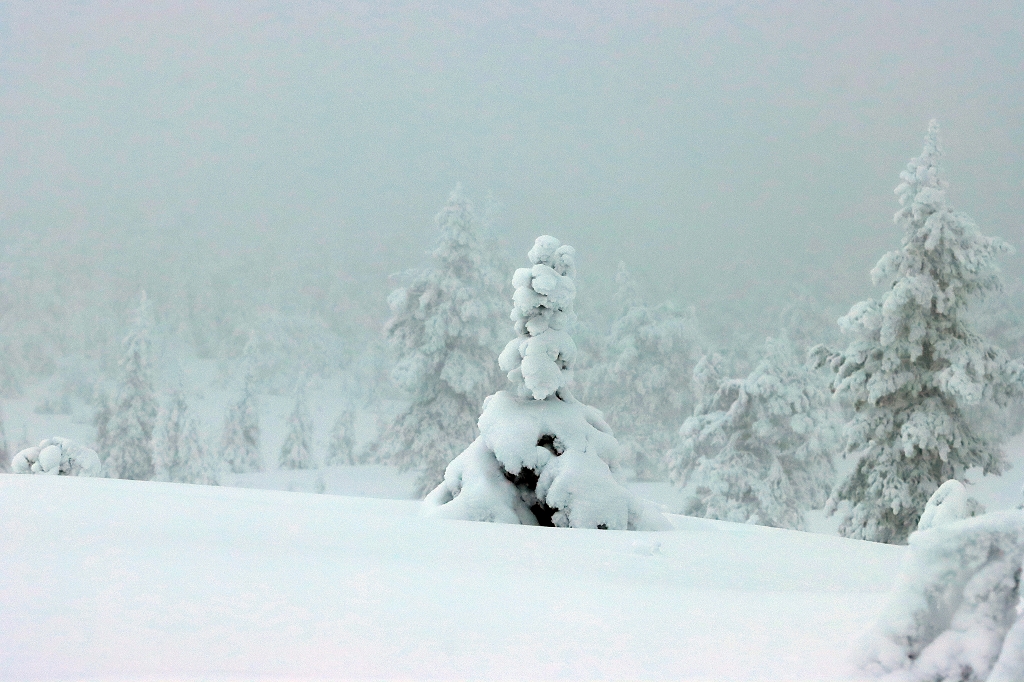 Winter im Riisitunturi Nationalpark