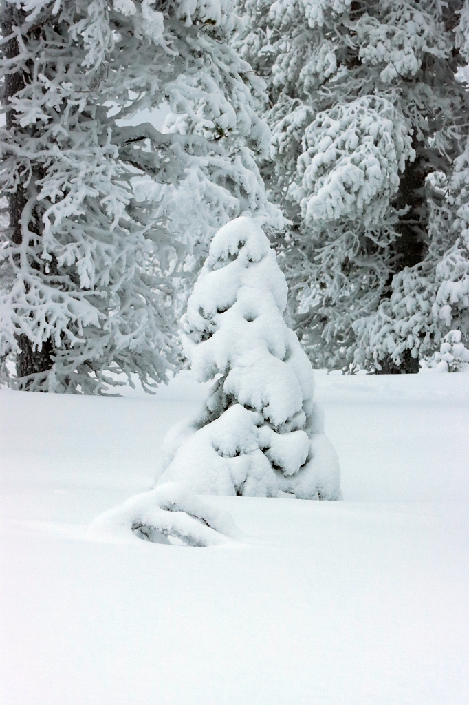 Winter im Riisitunturi Nationalpark