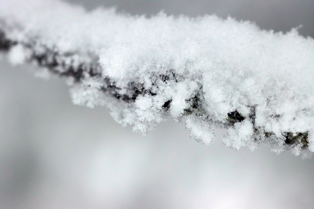 Winter im Riisitunturi Nationalpark
