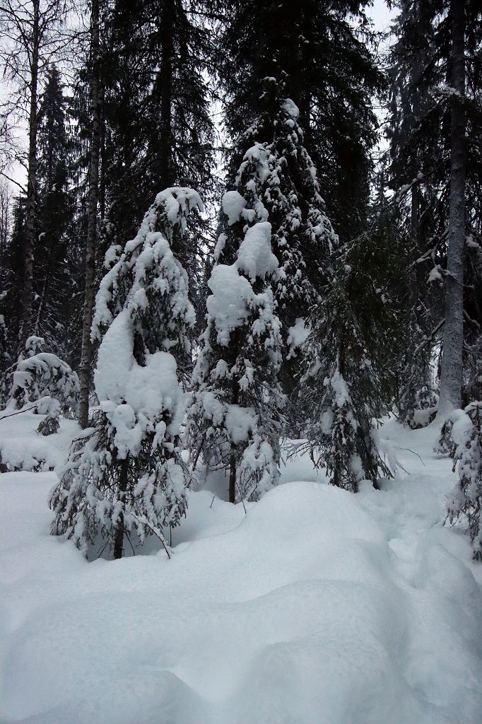 Wanderung zum Eiswasserfall in der Korouma-Schlucht