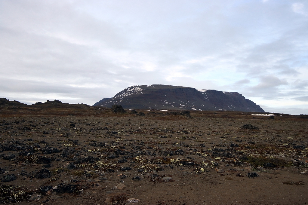 Wanderung zu den Basaltfelsen von Kuannit auf der Diskoinsel