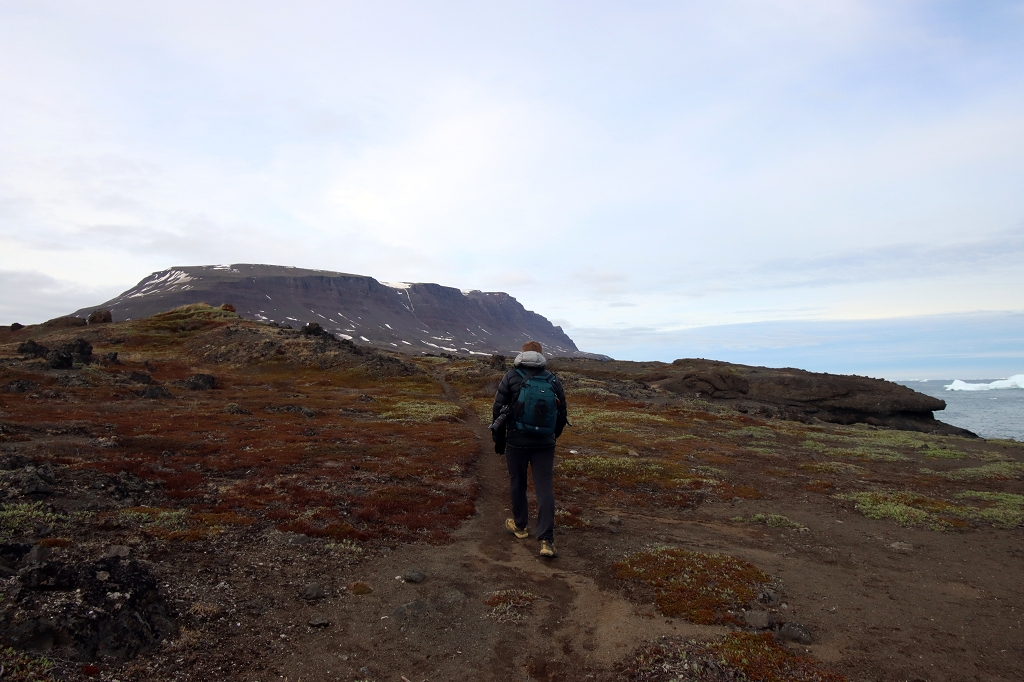 Wanderung zu den Basaltfelsen von Kuannit auf der Diskoinsel
