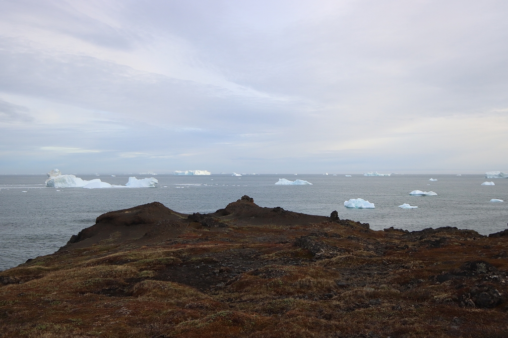 Wanderung zu den Basaltfelsen von Kuannit auf der Diskoinsel