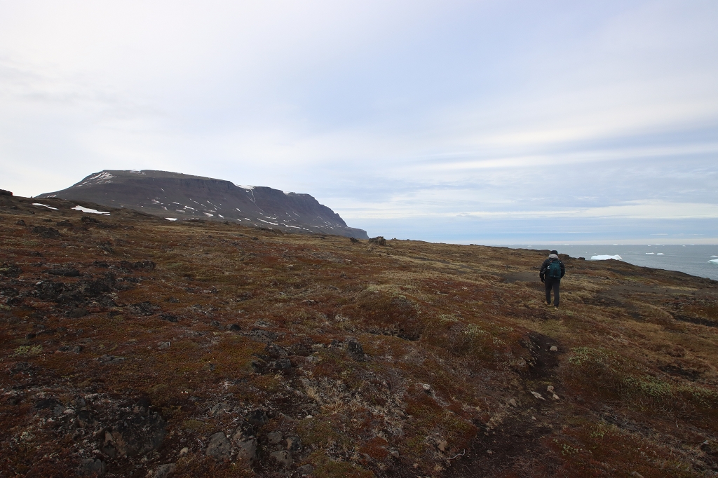 Wanderung zu den Basaltfelsen von Kuannit auf der Diskoinsel
