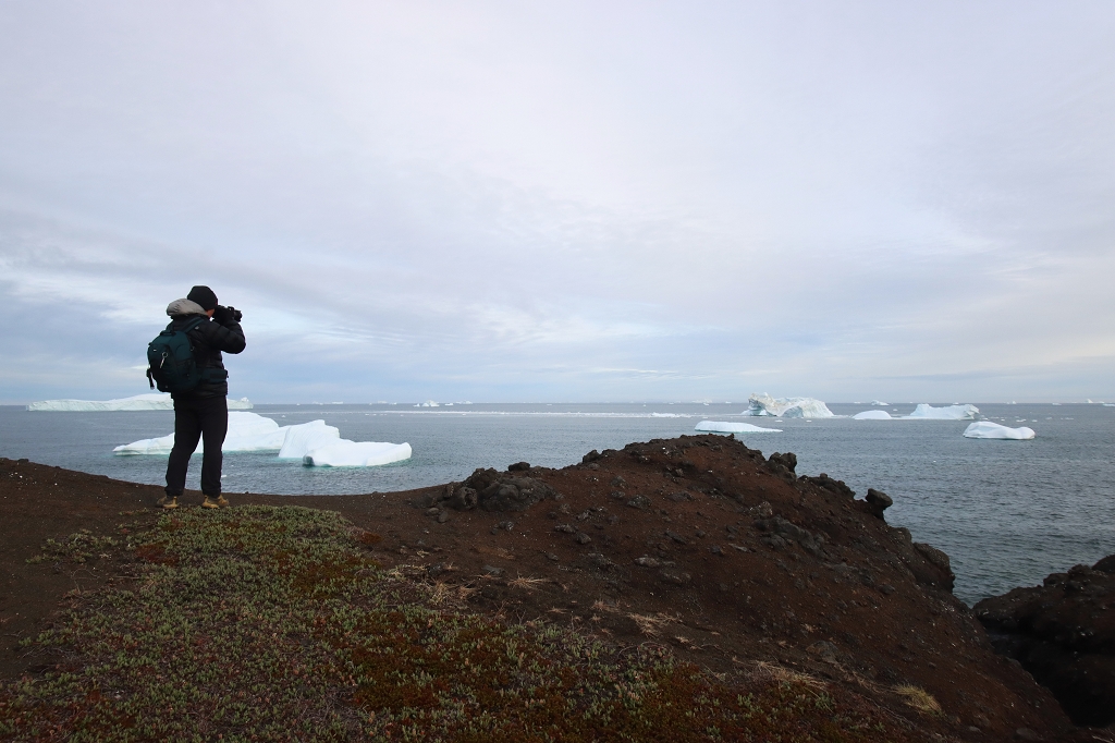 Wanderung zu den Basaltfelsen von Kuannit auf der Diskoinsel