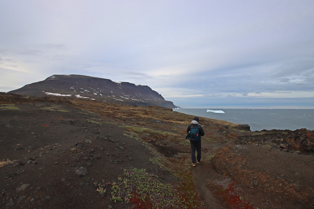 Wanderung zu den Basaltfelsen von Kuannit auf der Diskoinsel