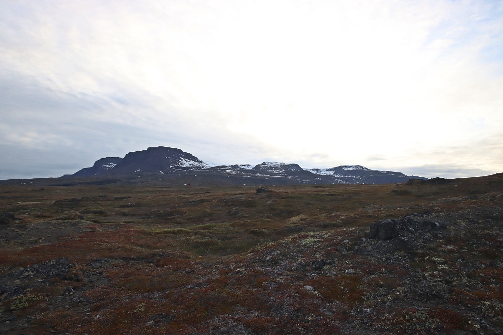 Rückweg nach Qeqertarsuaq