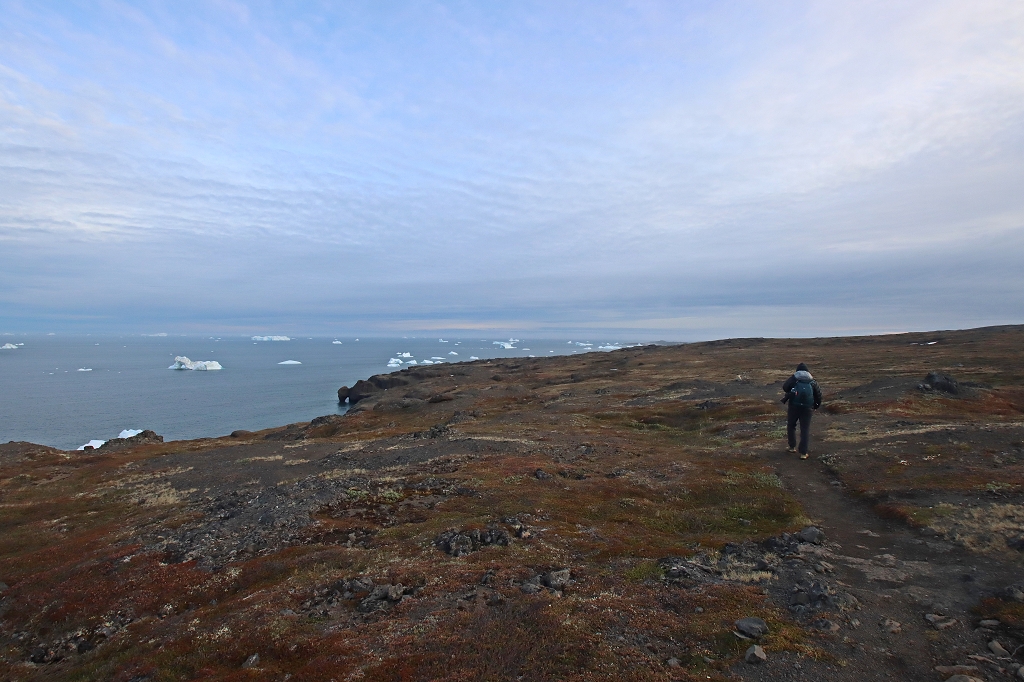 Rückweg nach Qeqertarsuaq
