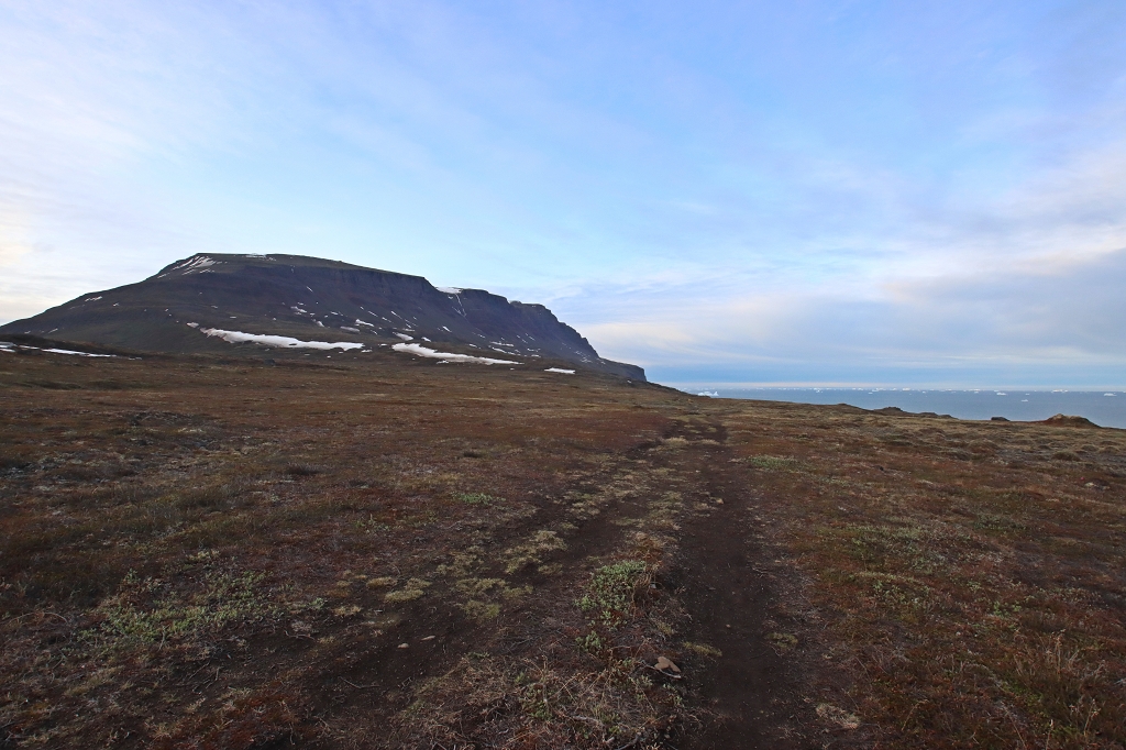Rückweg nach Qeqertarsuaq