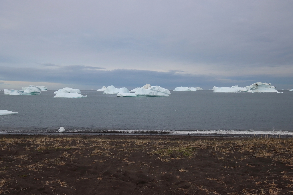 Blick auf Qeqertarsuaq und die Eisberge