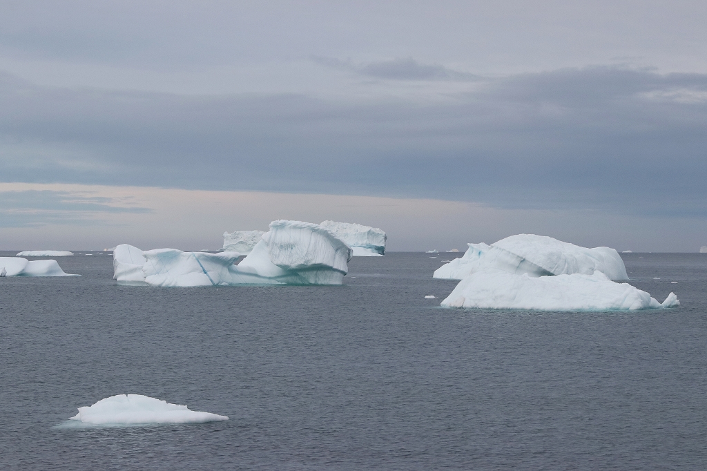 Eisberge vor der Diskoinsel