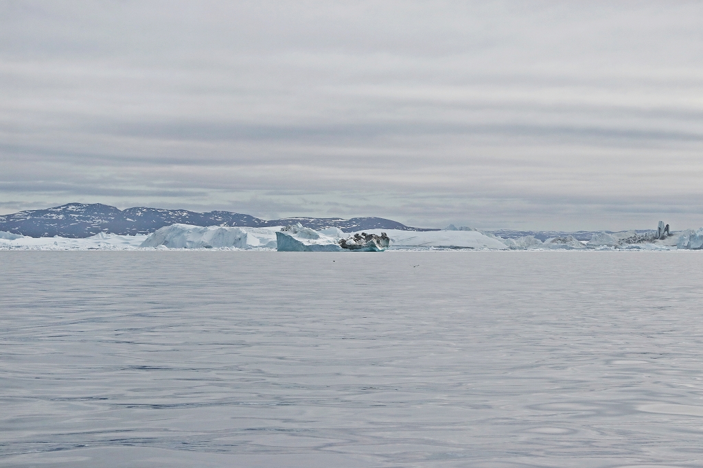 Eisberge in der Diskobucht