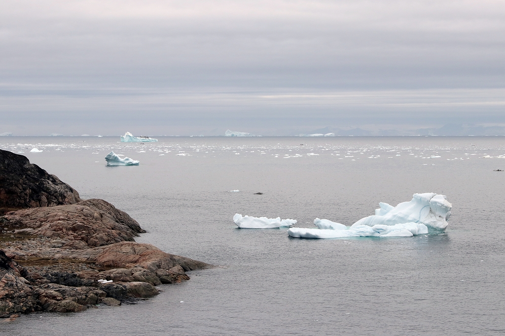 Endlich Eisberge