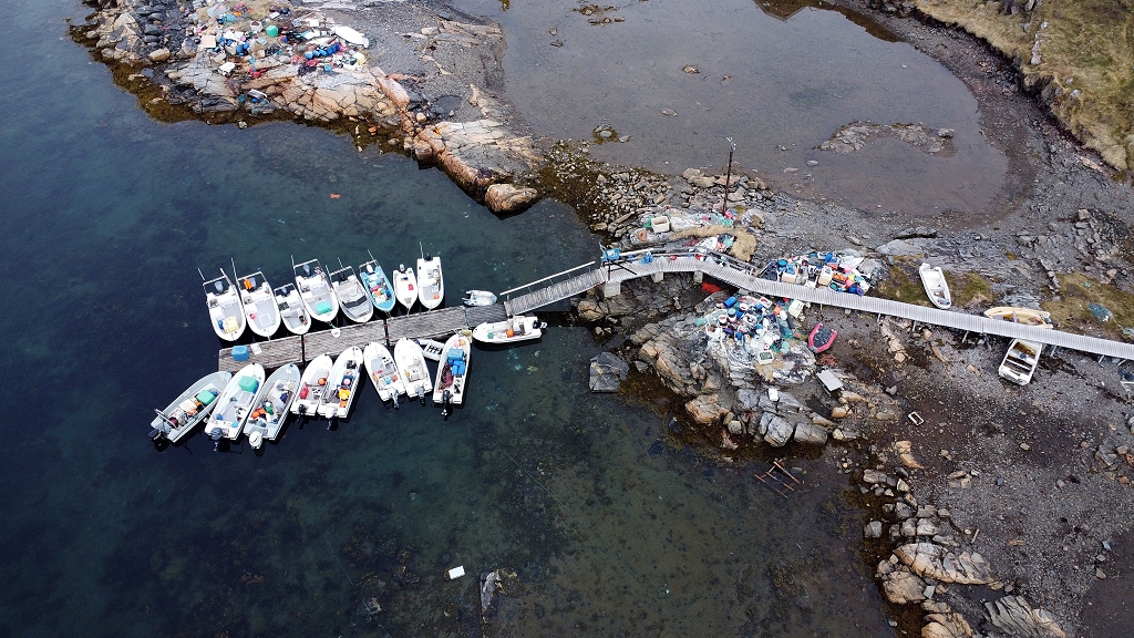Blick auf den Hafen von Qeqertarsuaq aus der Luft
