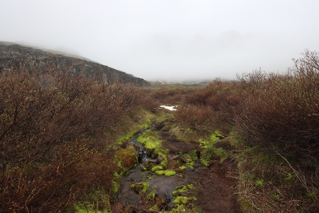 Abstieg nach Qeqertarsuaq