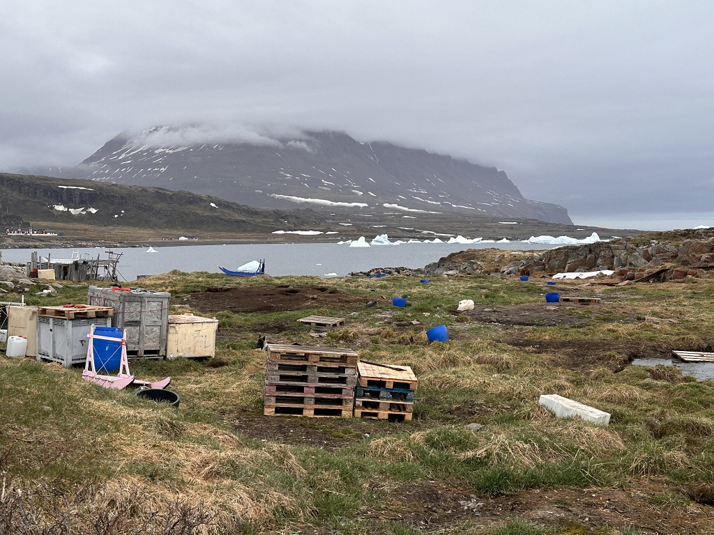 Spaziergang durch Qeqertarsuaq