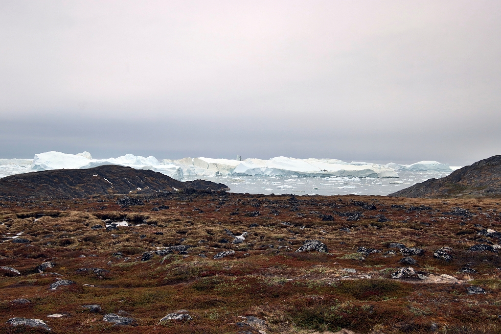Holzbohlenweg zum Ilulissat-Eisfjord