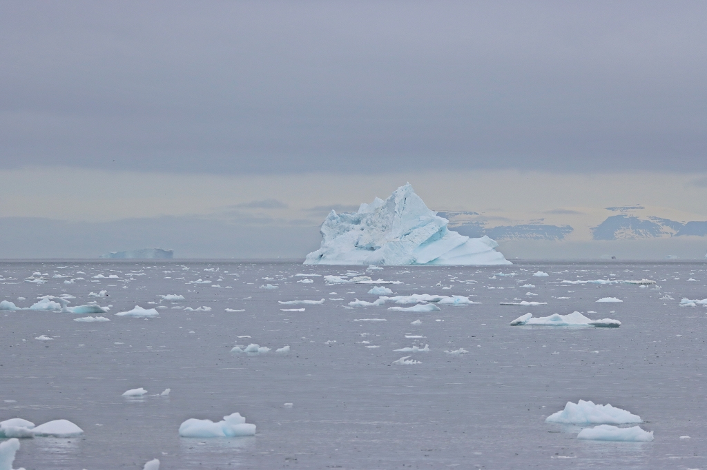 Eisberge in der Diskobucht