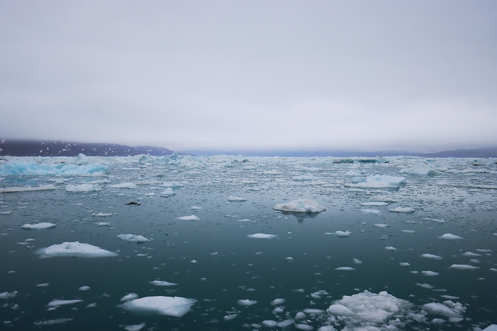 Vor dem beeindruckenden Eqi-Gletscher