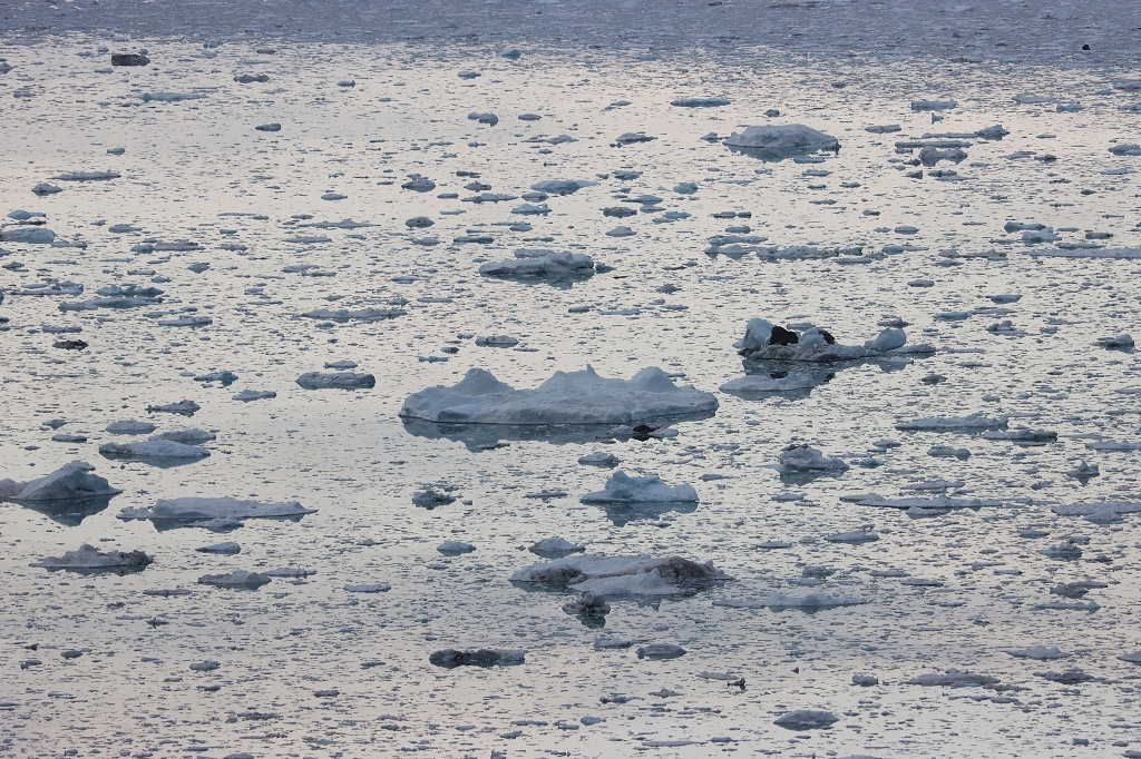 Stimmung am Eqi-Gletscher