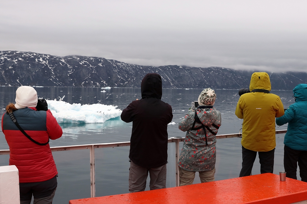 Alle halten Ausschau nach Walen