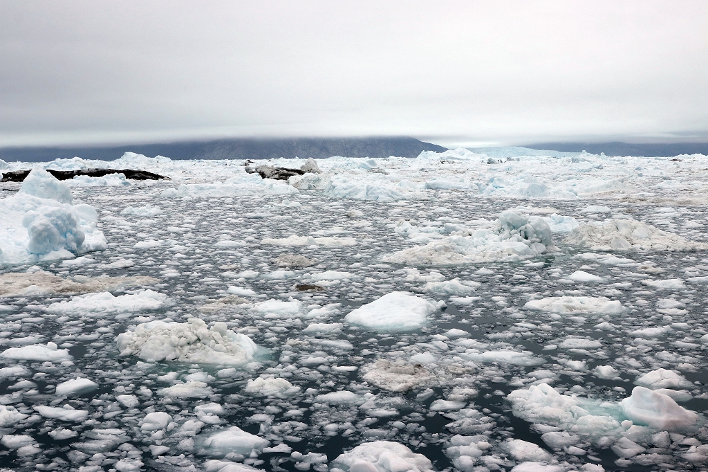 Eisschollen und Eisberge soweit das Auge reicht