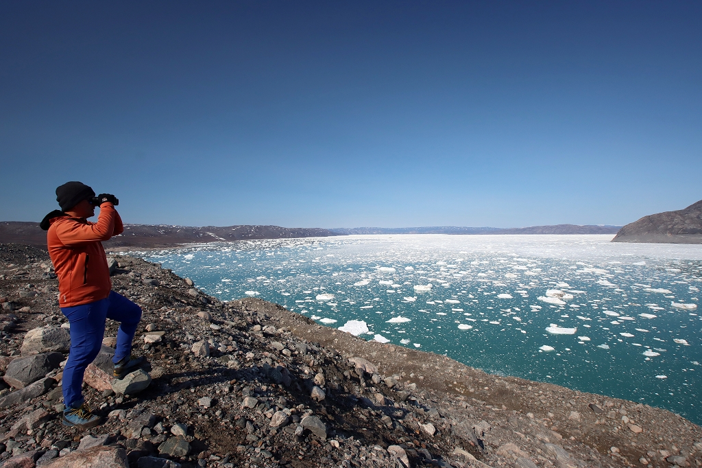 Blick auf den Eqi-Gletscher