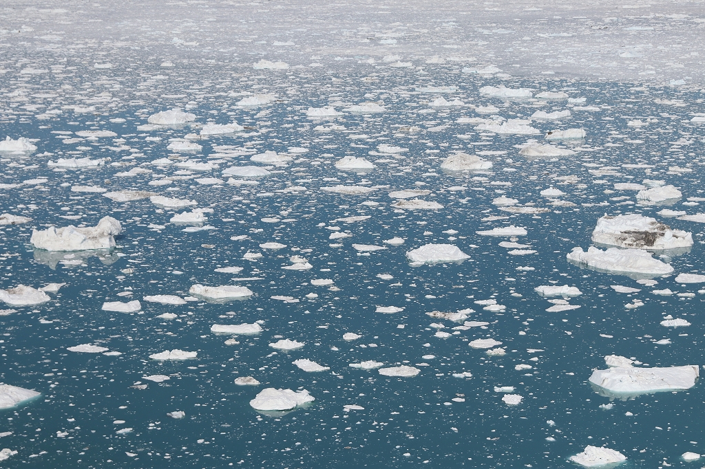 Ein Meer aus Eis