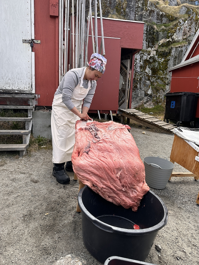 Das Fell der Robbe wird mit dem Ulu-Messer vom Fleisch getrennt