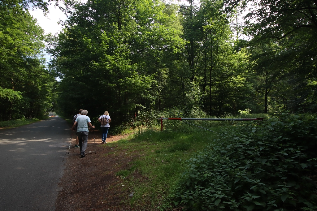 Hohe Mark Steig Etappe 3 - Waldgebiet Der Hagen