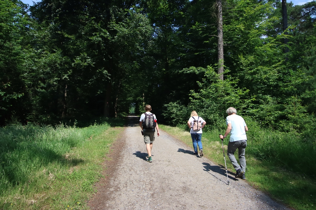 Hohe Mark Steig Etappe 3 - Waldgebiet Der Hagen