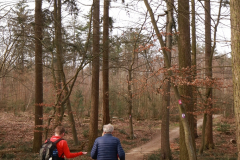 Hohe Mark Steig Etappe 1 - Vom Auesee zur Bärenschleuse - Wildgatter Diersfordter Wald
