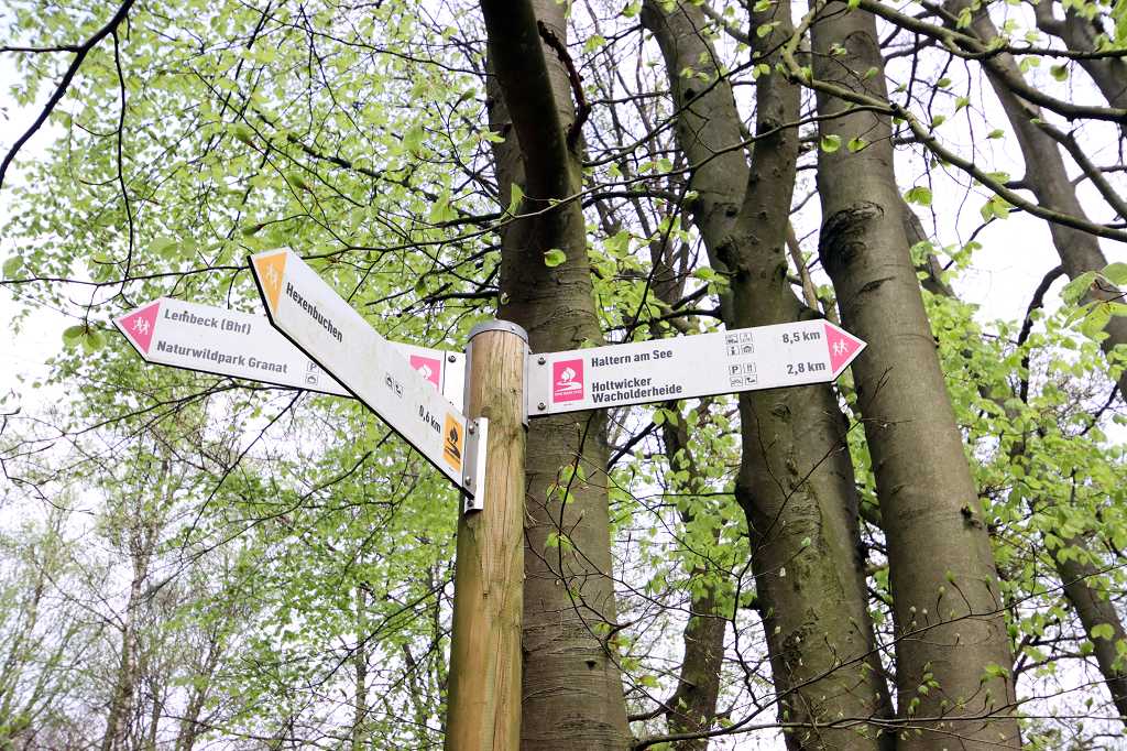 Hohe Mark Steig Etappe 4: Von Dorsten Lembeck nach Haltern am See